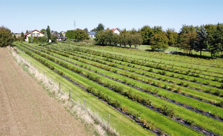 działka na sprzedaż - Kaczyce, Zebrzydowice, Kaczyce, Kaczyce Górne