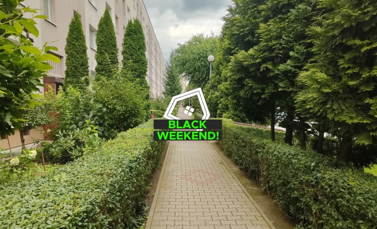 mieszkanie na sprzedaż - Jastrzębie-Zdrój